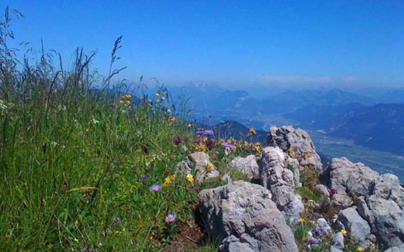Alpenblick Affittacamere